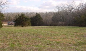 8 acres off of West Road